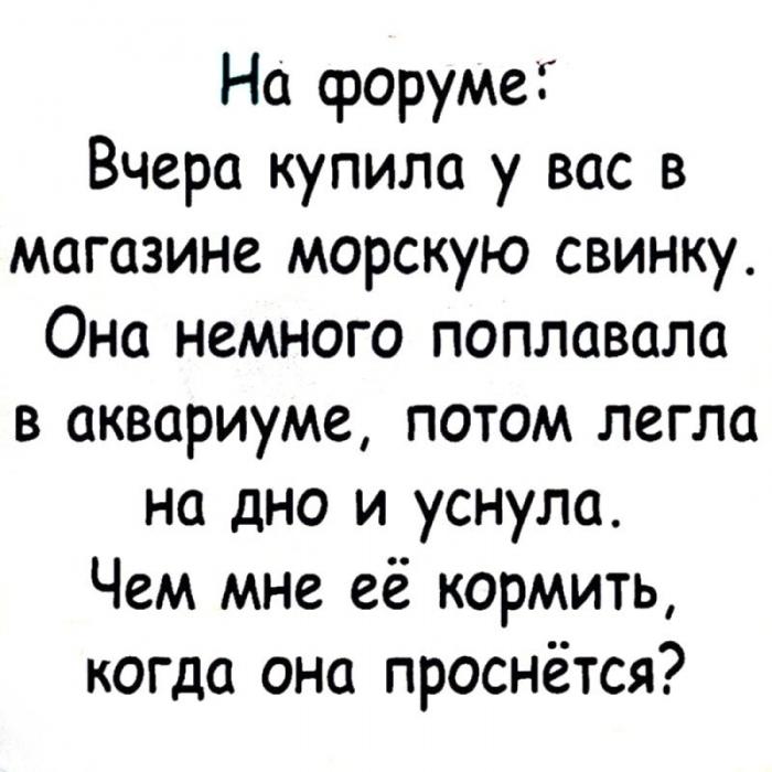 Не ищите здесь смысл. Здесь в основном маразм