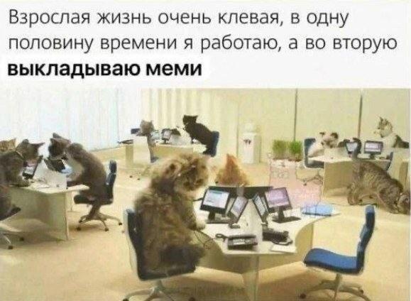 Смешные картинки