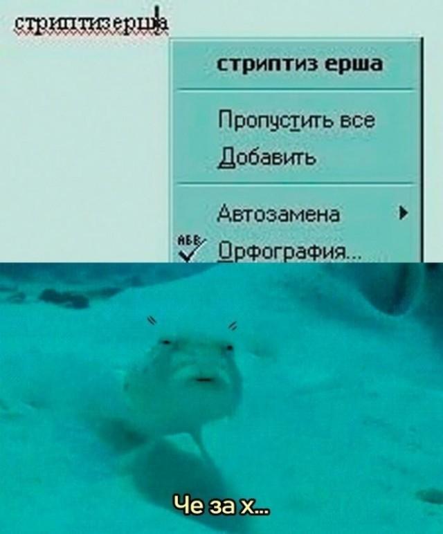 Смешные мемы