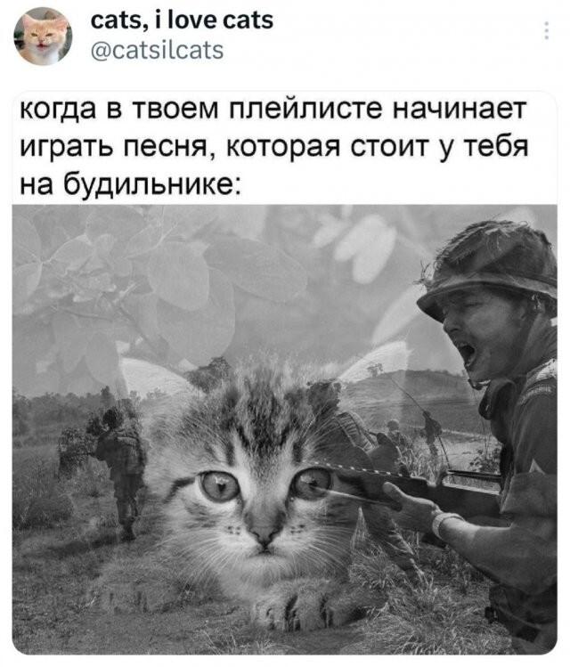 Подборка прикольных фото №3977