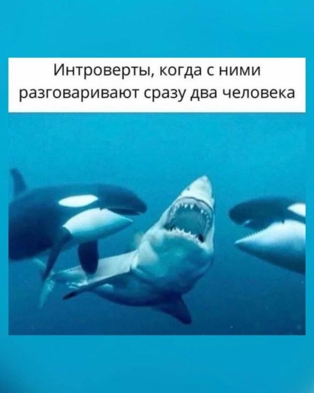 Подборка прикольных фото №3980