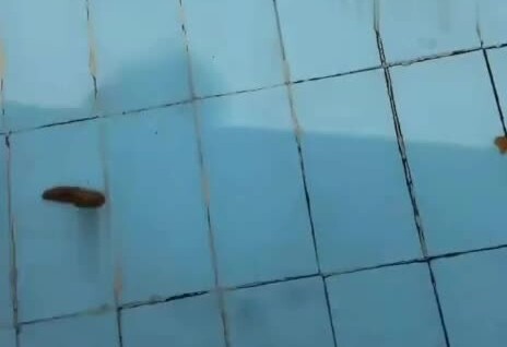 
        Бассейн в&nbsp;индийском аквапарке    