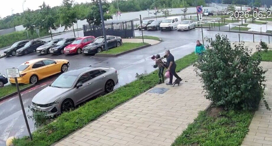 
        Конфликт в&nbsp;подмосковном дворе из-за собачьего вопроса    
