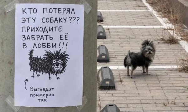 Мем №1613276
