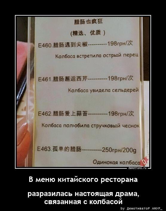 
			Демотиваторы №3804 (20 фото)