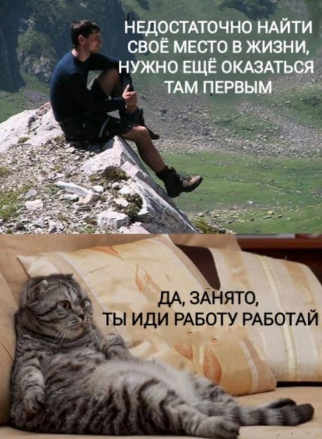Подборка прикольных фото №3965