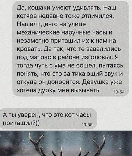 Мем №1612297
