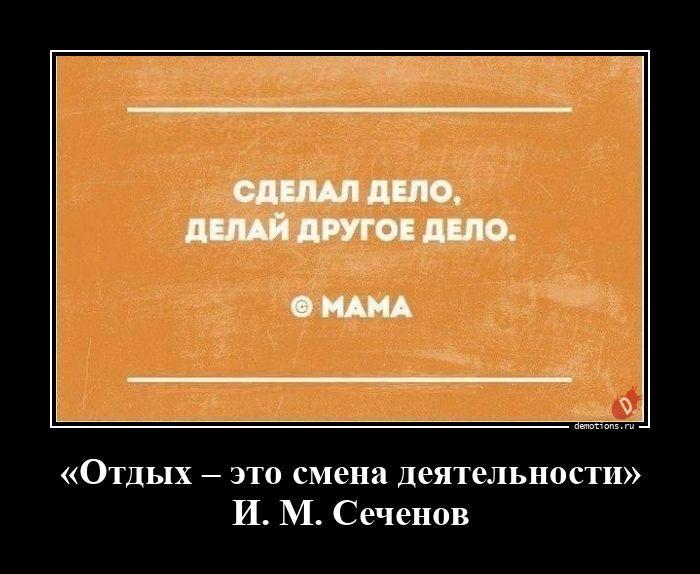 
			Демотиваторы №3802 (20 фото)