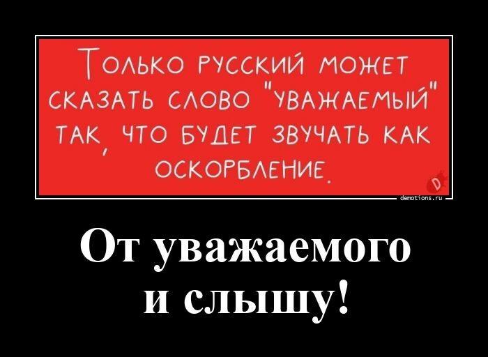 
			Демотиваторы №3804 (20 фото)