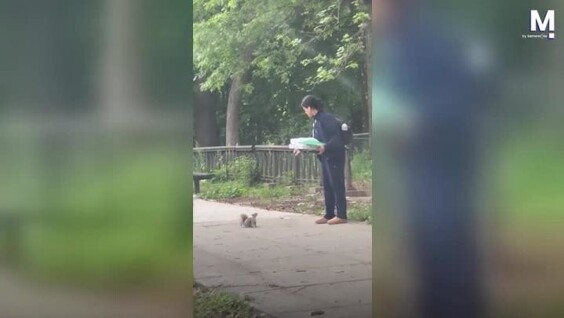 Белка настойчиво гналась за женщиной, у которой в руках была пицца
Белка настойчиво гналась за женщиной, у которой в руках была пицца