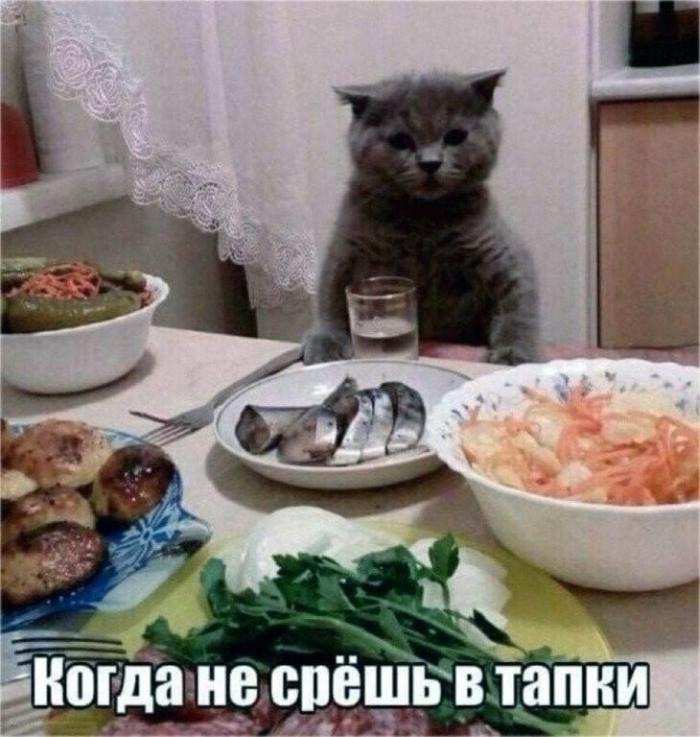 Смешные мемы Смешные мемы