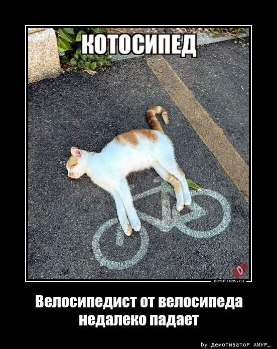 
			Демотиваторы №3804 (20 фото)