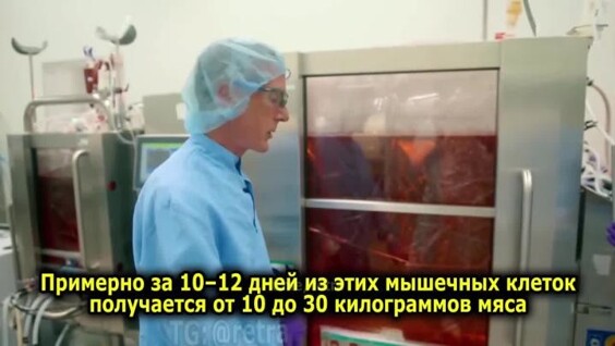 В Нидерландах открылась первая ферма без животных
В Нидерландах открылась первая ферма без животных