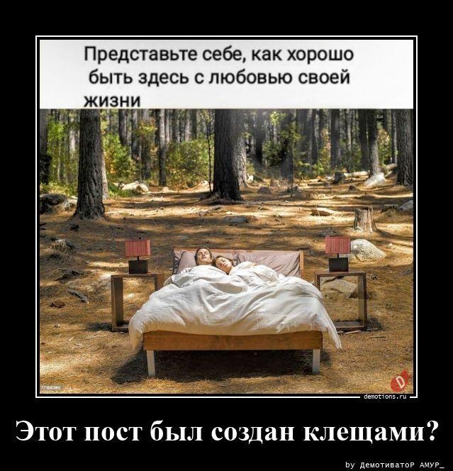 
			Демотиваторы №3801 (20 фото)