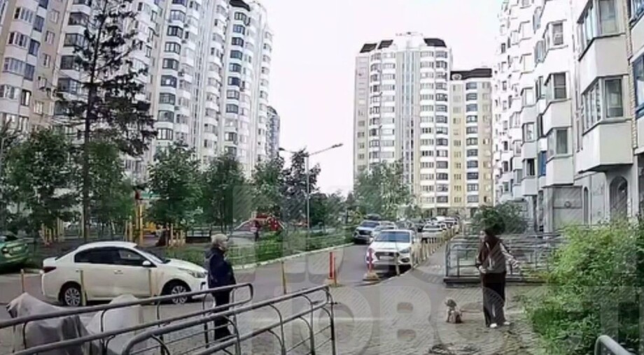 
        Конфликт из-за выгула собаки у&nbsp;подъезда    