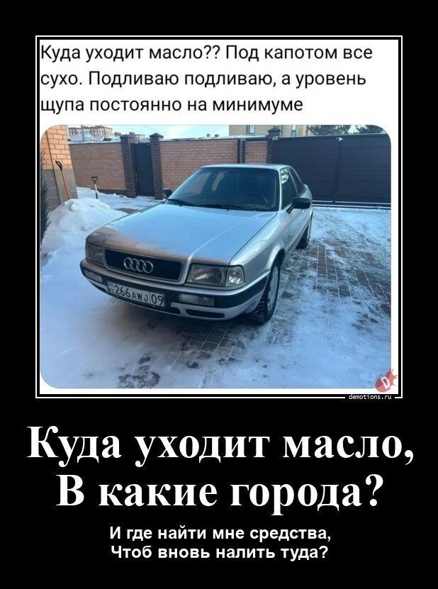 
			Демотиваторы №3804 (20 фото)