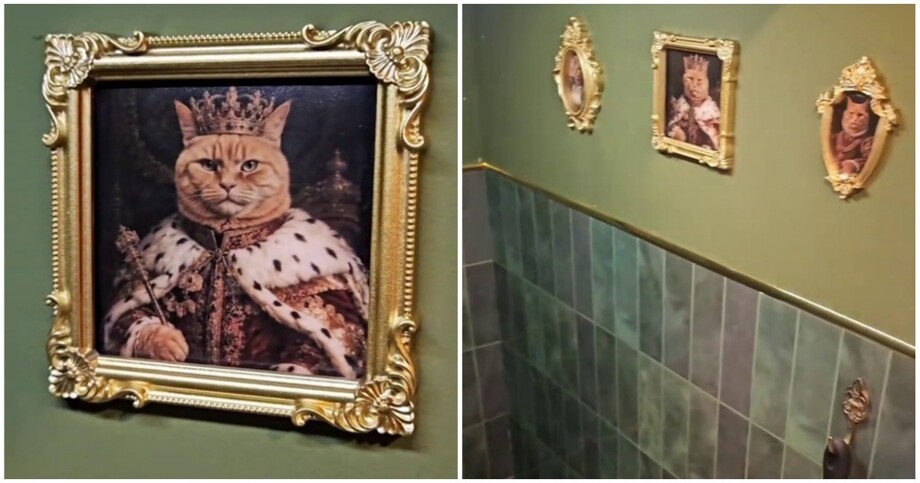 
        Кошачий тронный зал    
