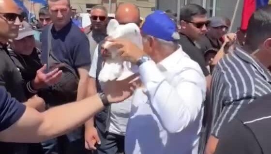 
        Голубь мира не&nbsp;захотел взлетать из&nbsp;рук&nbsp;Пашиняна    