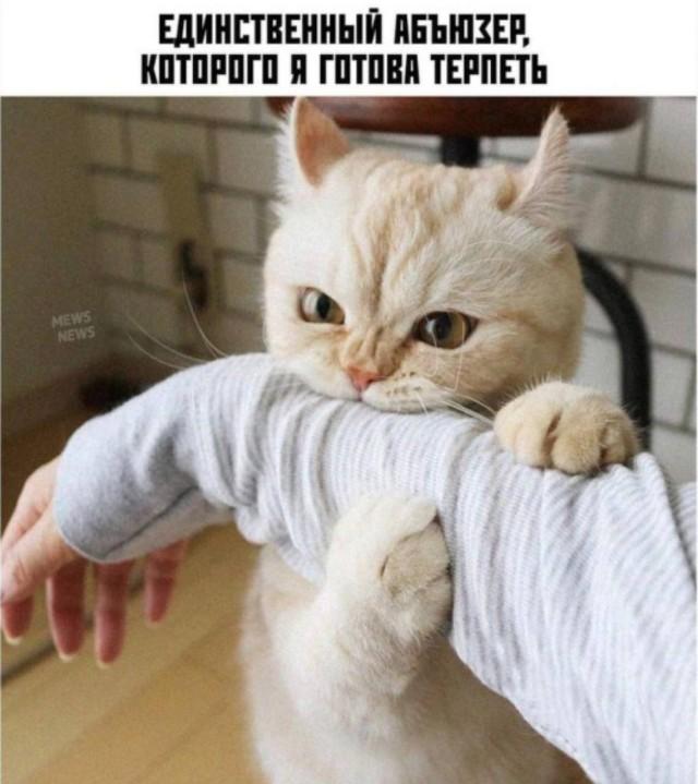 Смешные мемы