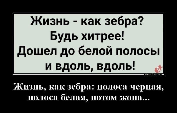
			Демотиваторы №3804 (20 фото)