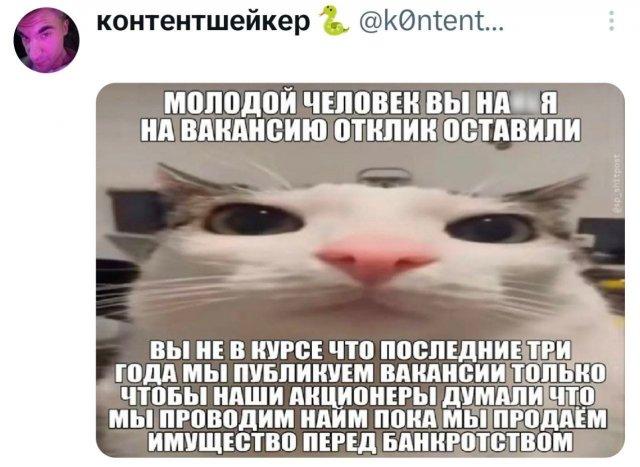 Подборка забавных твитов обо всем Подборка забавных твитов обо всем