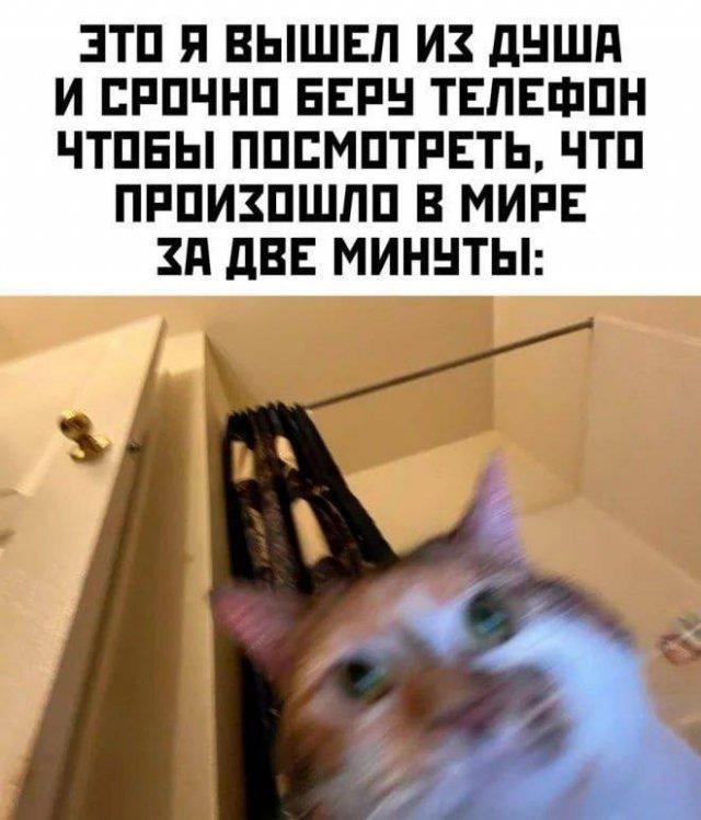 Подборка прикольных фото №3983