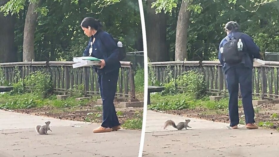 Белка настойчиво гналась за женщиной, у которой в руках была пицца
Белка настойчиво гналась за женщиной, у которой в руках была пицца