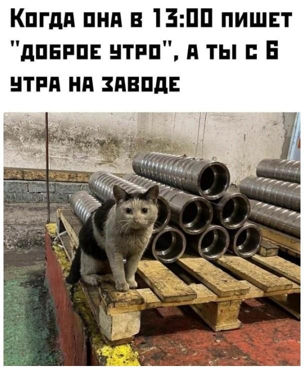Подборка прикольных фото №3966