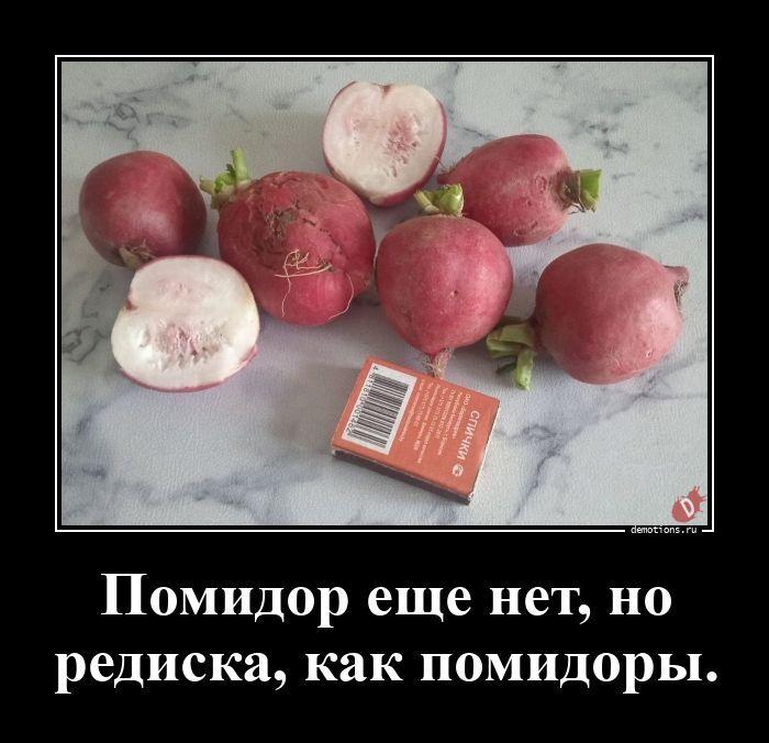 
			Демотиваторы №3802 (20 фото)