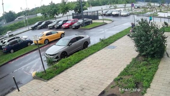 
        Конфликт в&nbsp;подмосковном дворе из-за собачьего вопроса    