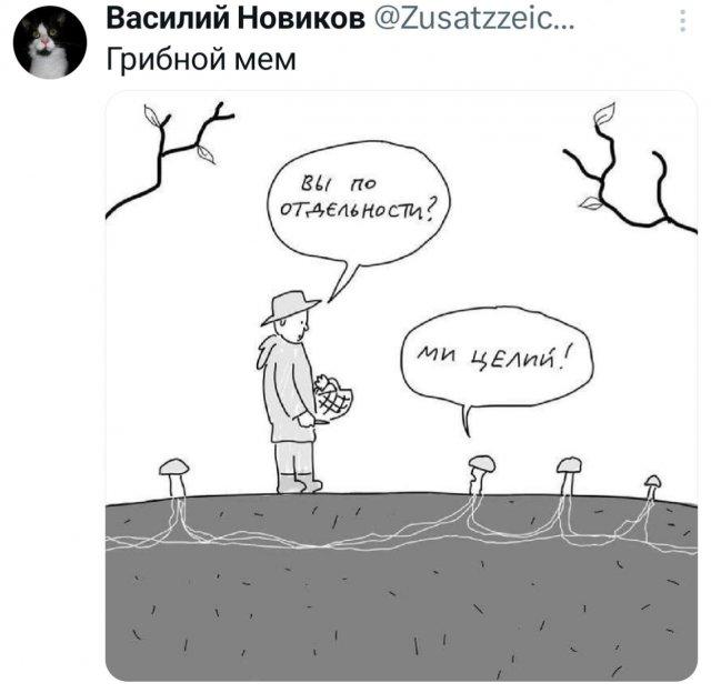 Подборка забавных твитов обо всем Подборка забавных твитов обо всем