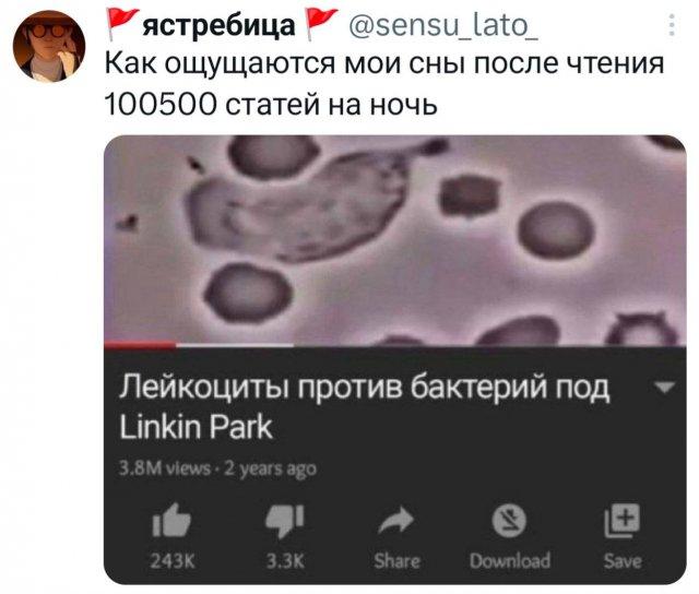 Подборка забавных твитов обо всем Подборка забавных твитов обо всем