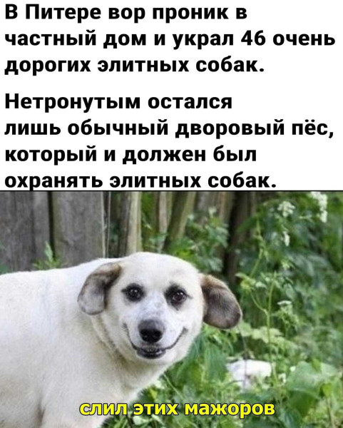 Мем №1607617