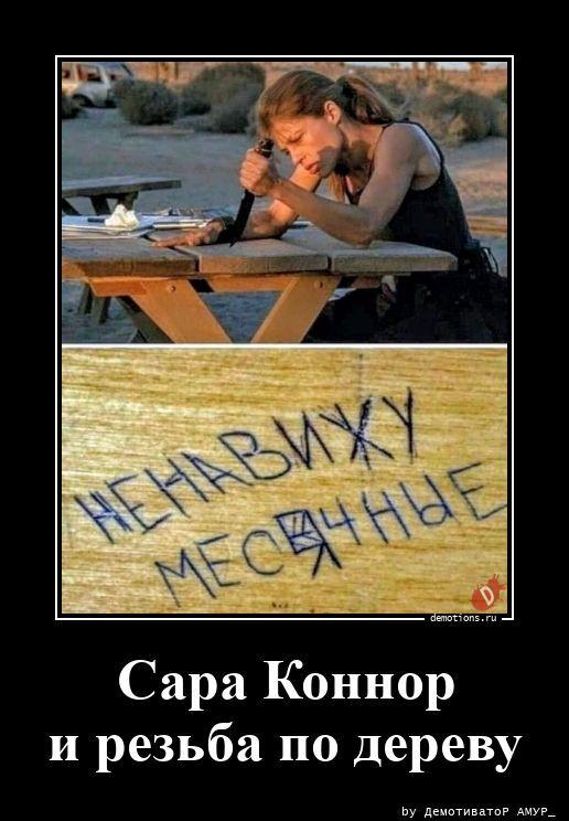 
			Демотиваторы №3805 (15 фото)