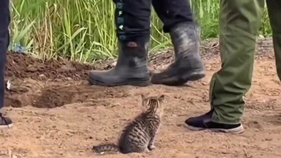 Каждый занят своим делом
Каждый занят своим делом