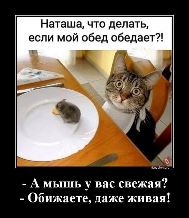 
			Демотиваторы №3801 (20 фото)