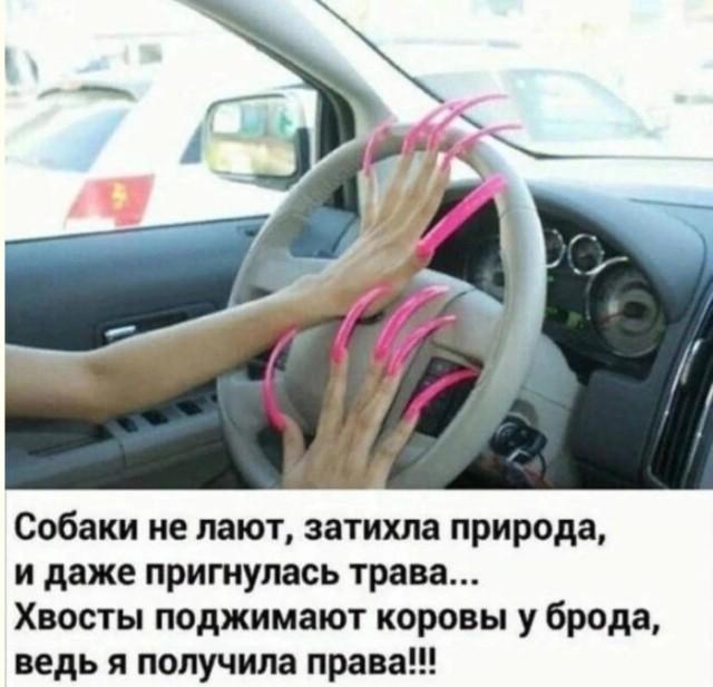Смешные мемы