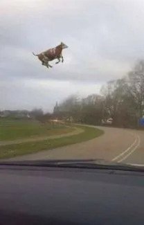 Фотографии из серии "Что здесь происходит?" (23 фото)