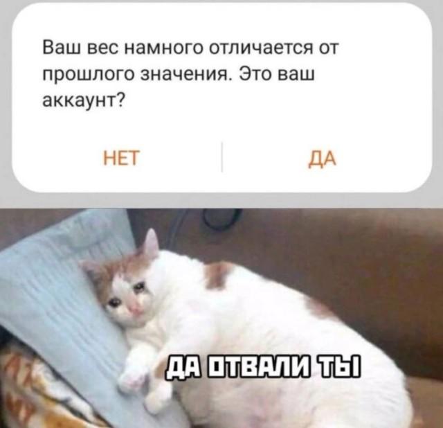 Лучшие шутки и мемы из Сети Лучшие шутки и мемы из Сети