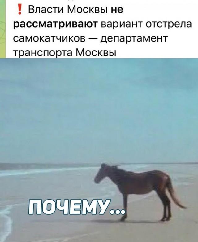 Подборка прикольных фото №3981