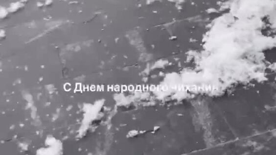 Тополиный пух на улице Москвы
Тополиный пух на улице Москвы