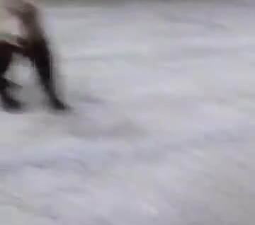 
        Встреча женщины с&nbsp;медведем в&nbsp;Канаде    