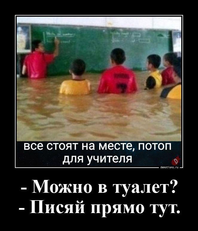 
			Демотиваторы №3802 (20 фото)