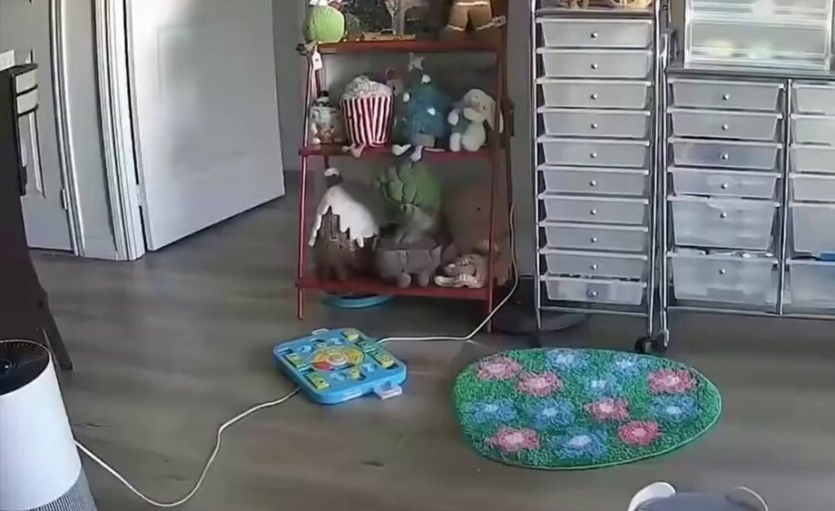 
        Пока хозяйка не&nbsp;видит    