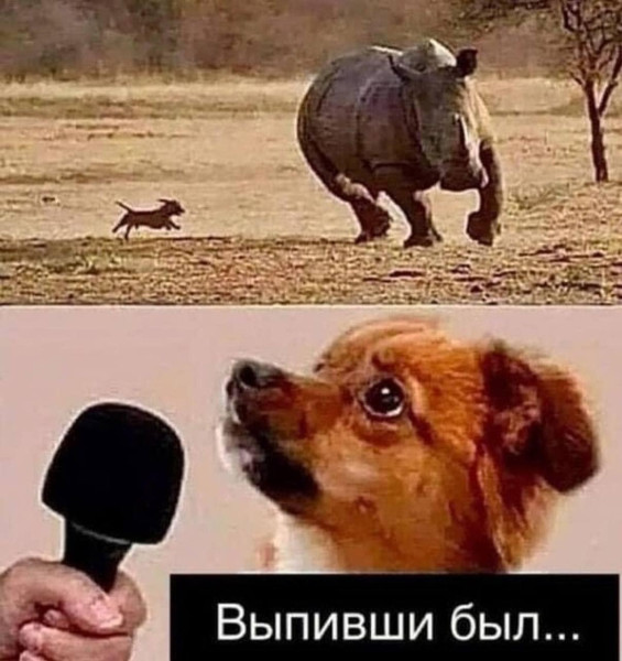 Мем №1610875