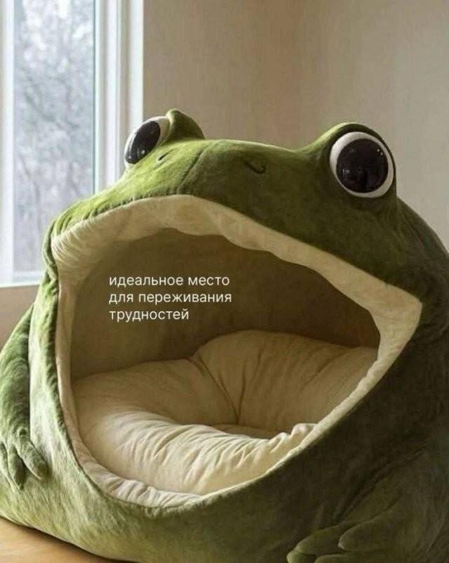 Подборка прикольных фото №3980