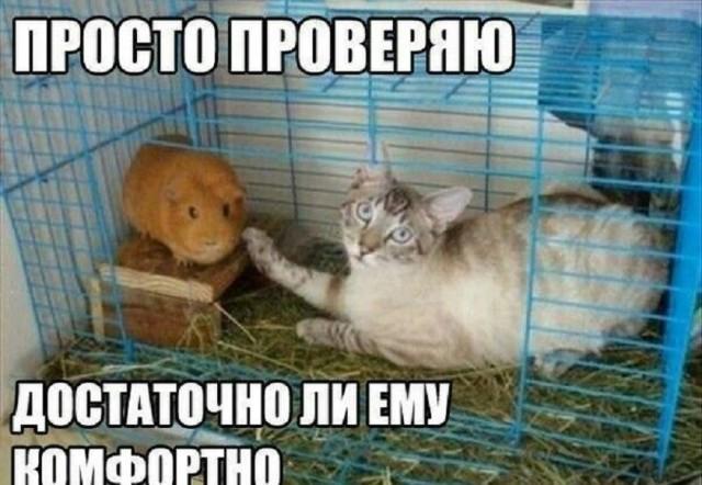 Смешные мемы Смешные мемы