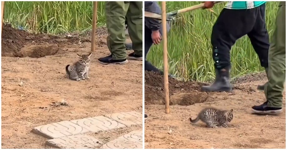 Каждый занят своим делом
Каждый занят своим делом