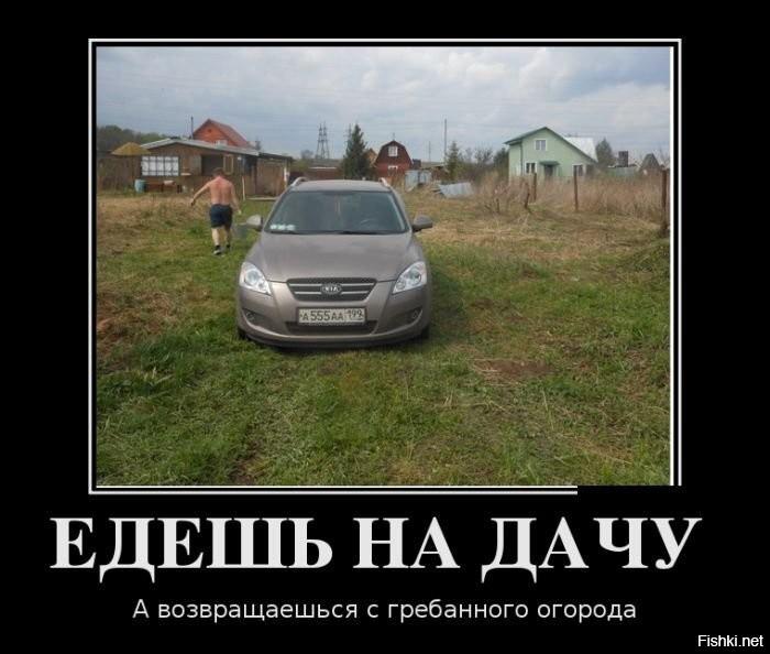 
			Демотиваторы №3802 (20 фото)