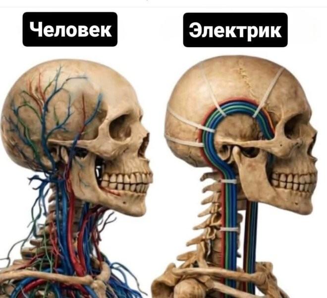 Лучшие шутки и мемы из Сети
